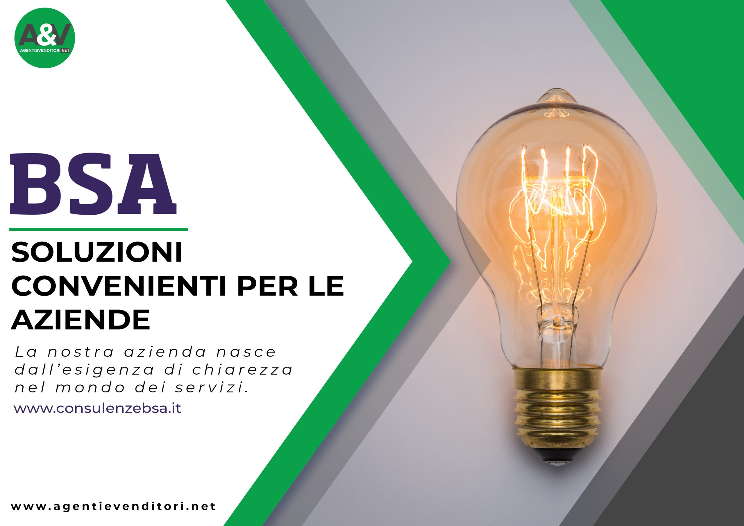 Chi è BSA?